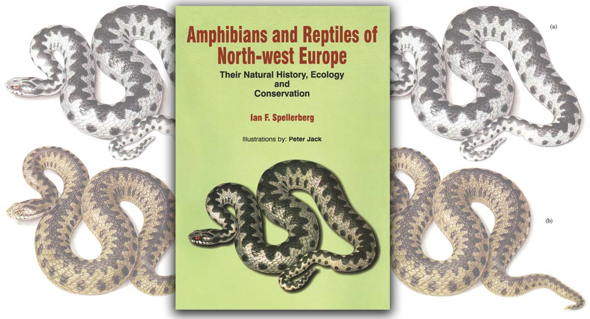 Amphibians and Reptiles of North-West Europe
