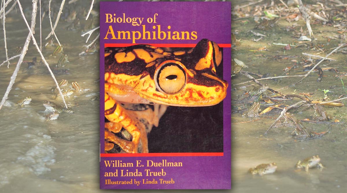 Biology of Amphibians by William E. Duellman, Linda Trueb