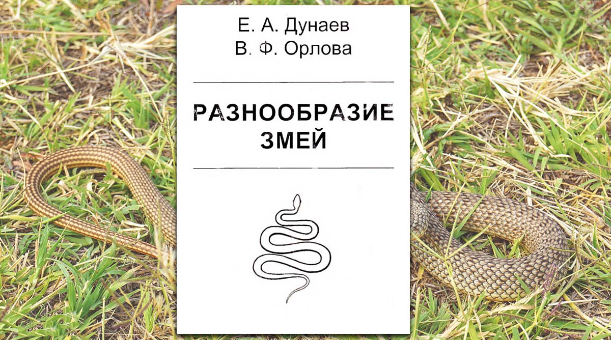 Разнообразие змей (по материалам экспозиции Зоологического музея МГУ)