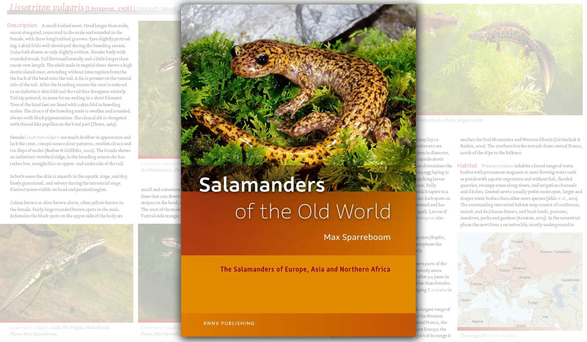 Salamanders of the Old World. The Salamanders of Europe, Asia and Northern Africa