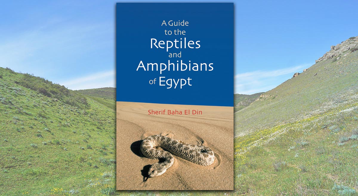 A Guide to Reptiles and Amphibians of Egypt