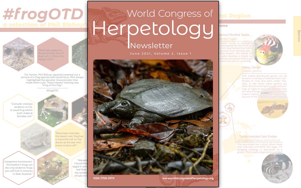 Newsletter, June 2021, World Congress Herpetology