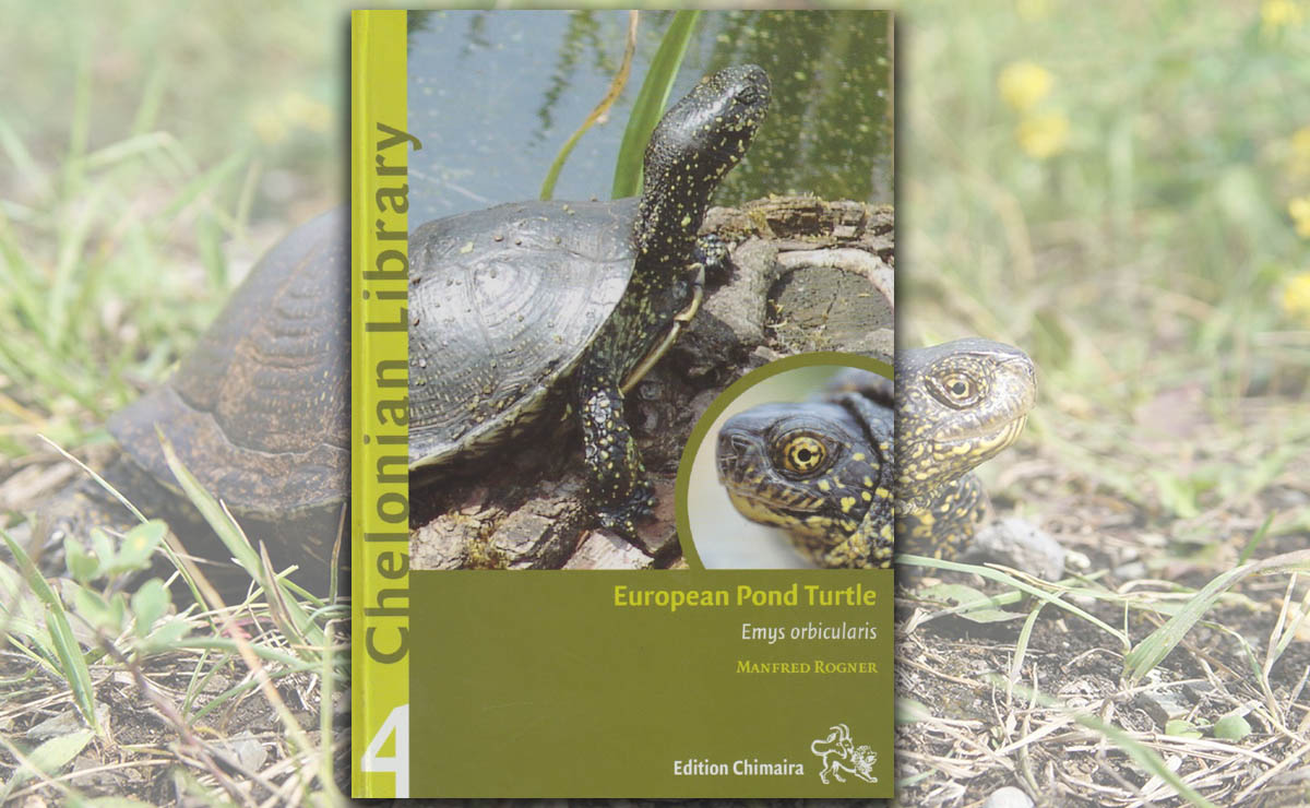 European Pond Turtles (Emys orbicularis) / Chelonian Library #4