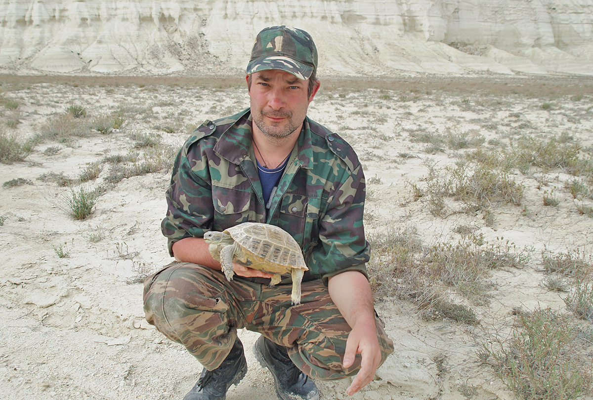 С среднеазиатской черепахой (Agrionemys horsfieldii). Казахстан, 2017 
