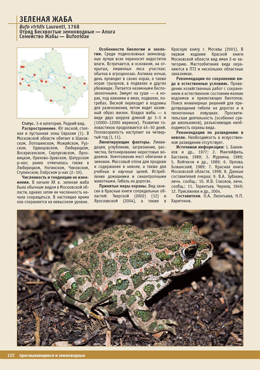 Зеленая жаба (Bufo viridis). Красная книга Московской области, 2008