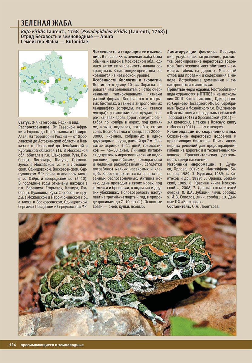 Зеленая жаба (Bufo viridis). Красная книга Московской области, 2018