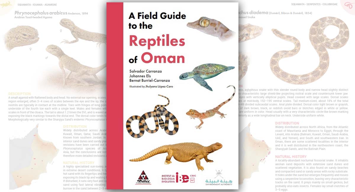A Field Guide to the Reptiles of Oman