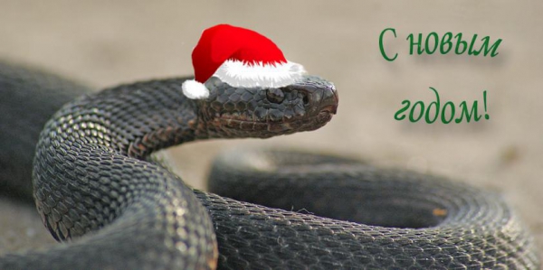 Happy New Year!