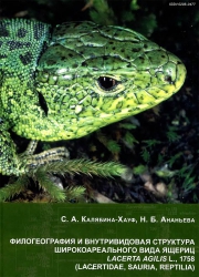Филогеография и внутривидовая структура вида ящериц Lacerta agilis