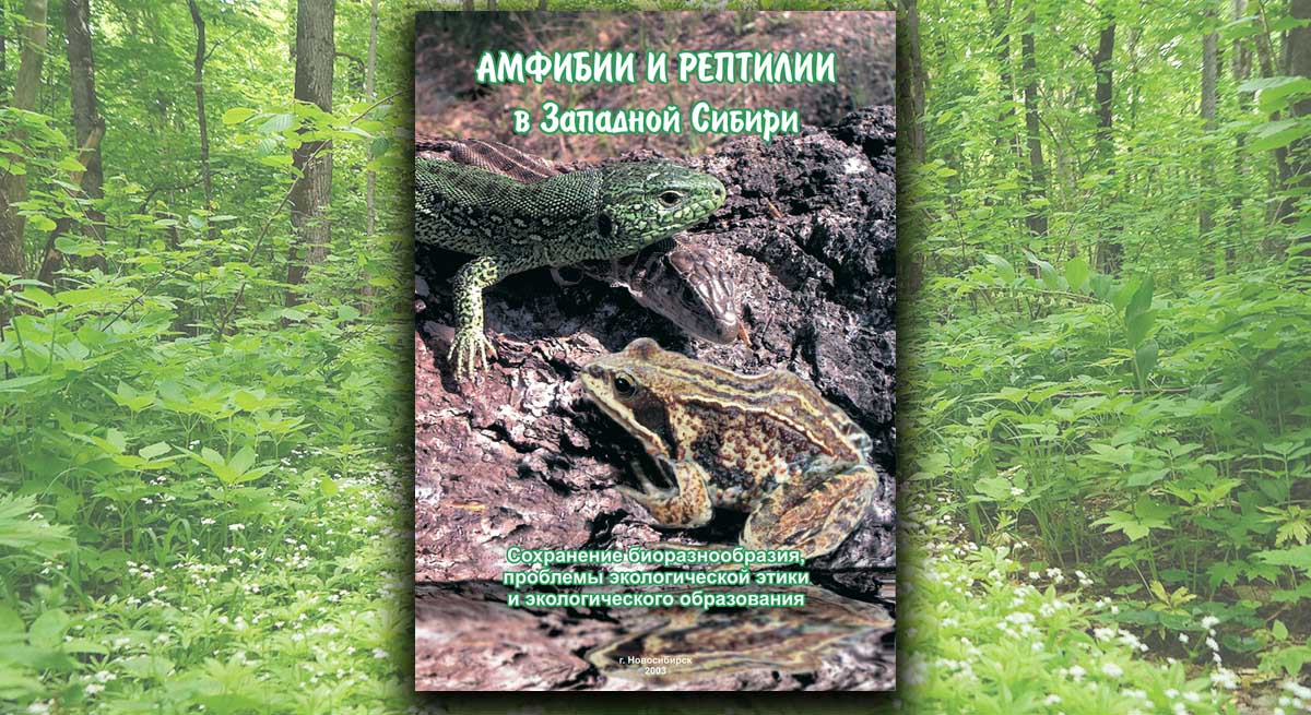 Амфибии и рептилии в Западной Сибири Амфибии и рептилии в Западной Сибири