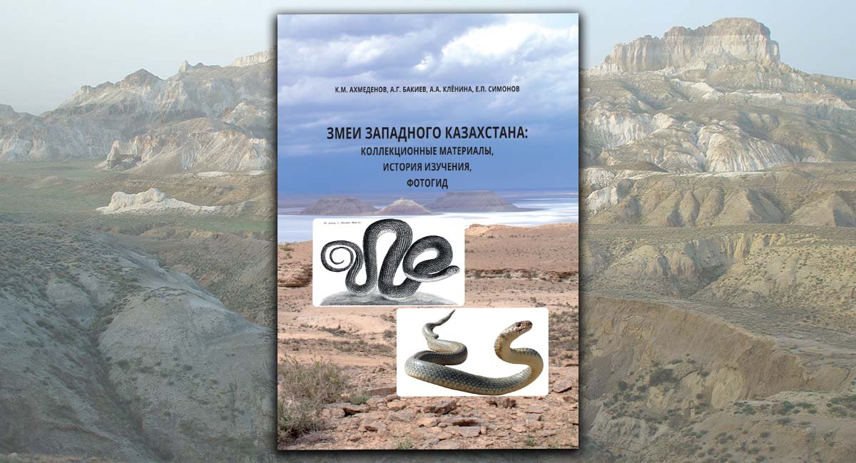 Змеи Западного Казахстана