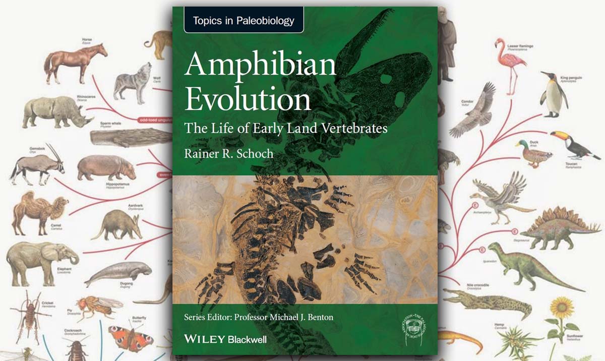 Amphibian Evolution: The Life of Early Land Vertebrates