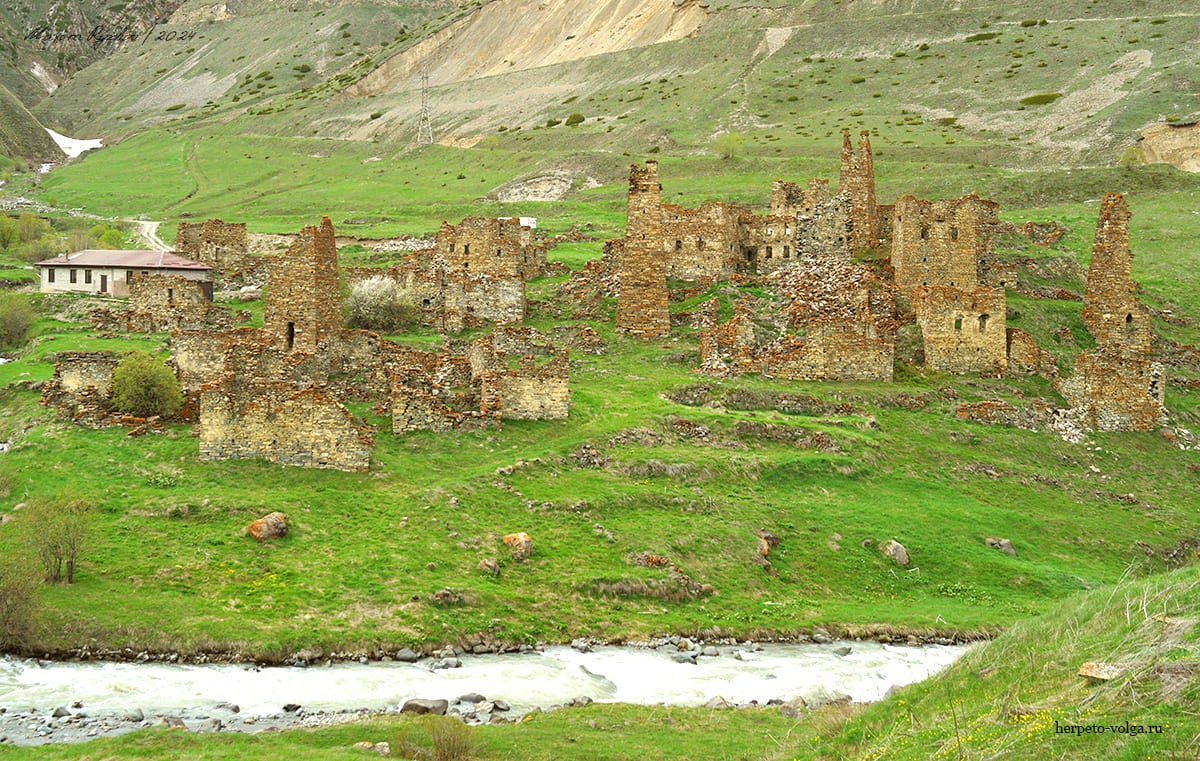 Село Лисри / Северная Осетия