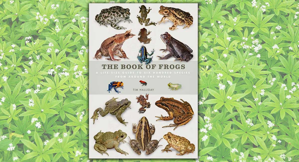The Book of Frogs A Life-Size Guide to Six Hundred Species from Around the World